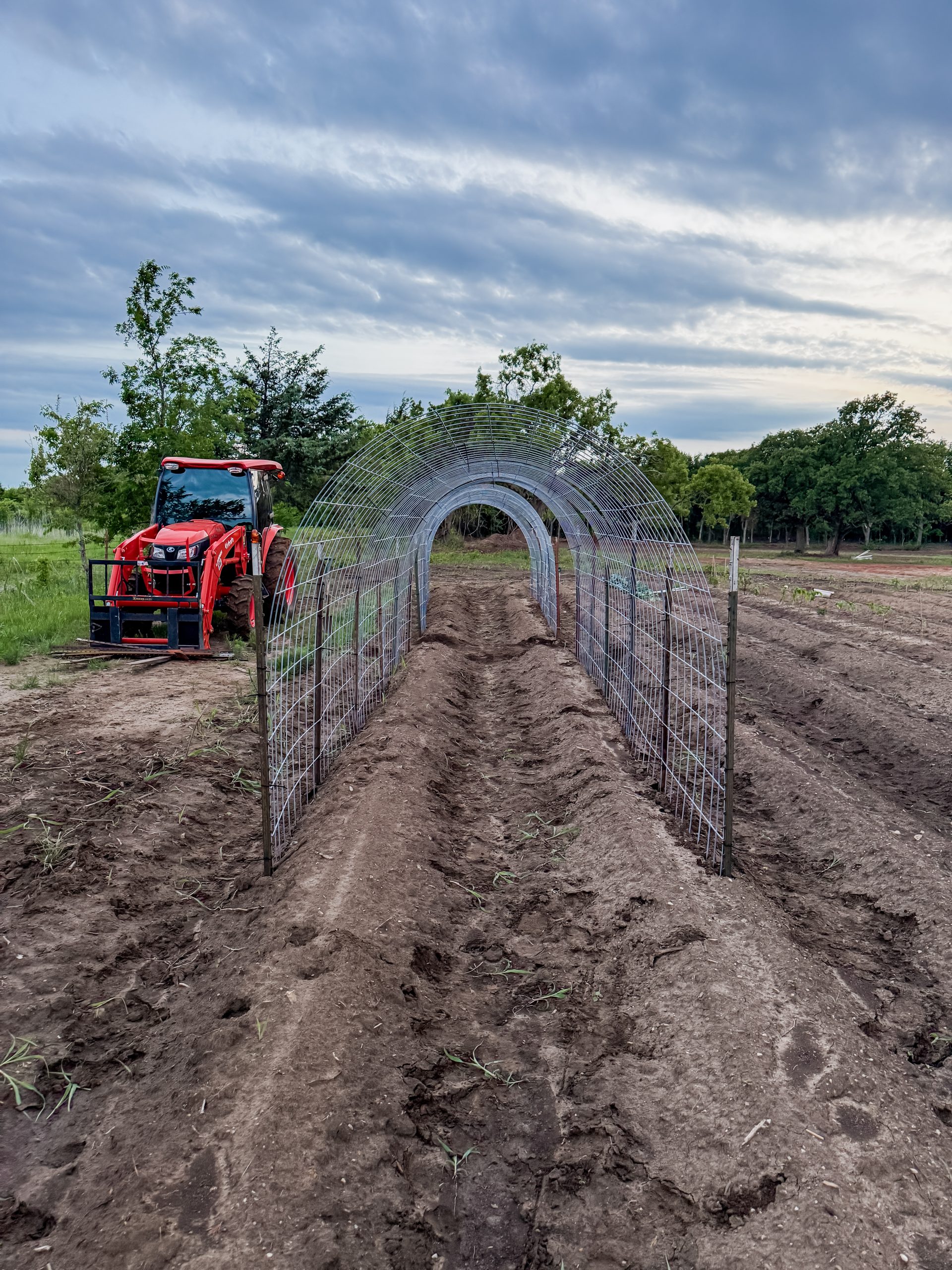 Lessons the Land Is Teaching Me | Farm Life Reflections