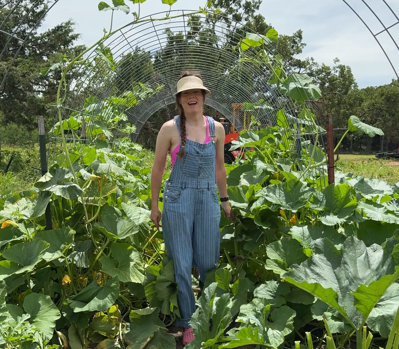 What I Look for Before Treating Any Garden Pest